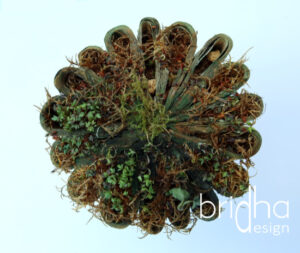 Bücher zum Erblühen bringen!