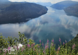 Nordfjordeid in Norwegen