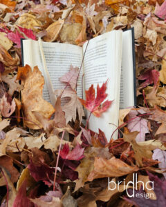 Booksculpture “Transformation”