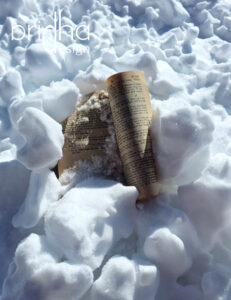 Buch im Schnee