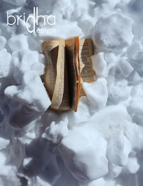 Book in the snow Buch im Schnee