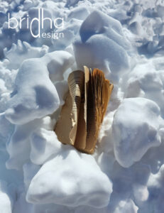 Buch im Schnee
