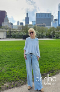Tour durch Chicago